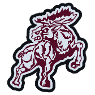Alamosa High School