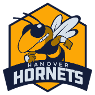 Hanover High School