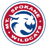 Mount Spokane High School