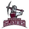 Bangor Area High School