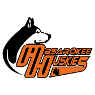 Absarokee High School