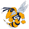 Saline High School