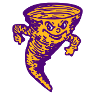 Taylorville High School