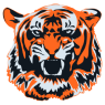 Crystal Lake Central High School