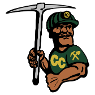 Coal City High School