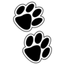 Tucker County High School