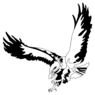 Regional Christian School