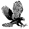 Howard Health And Life Science Hs