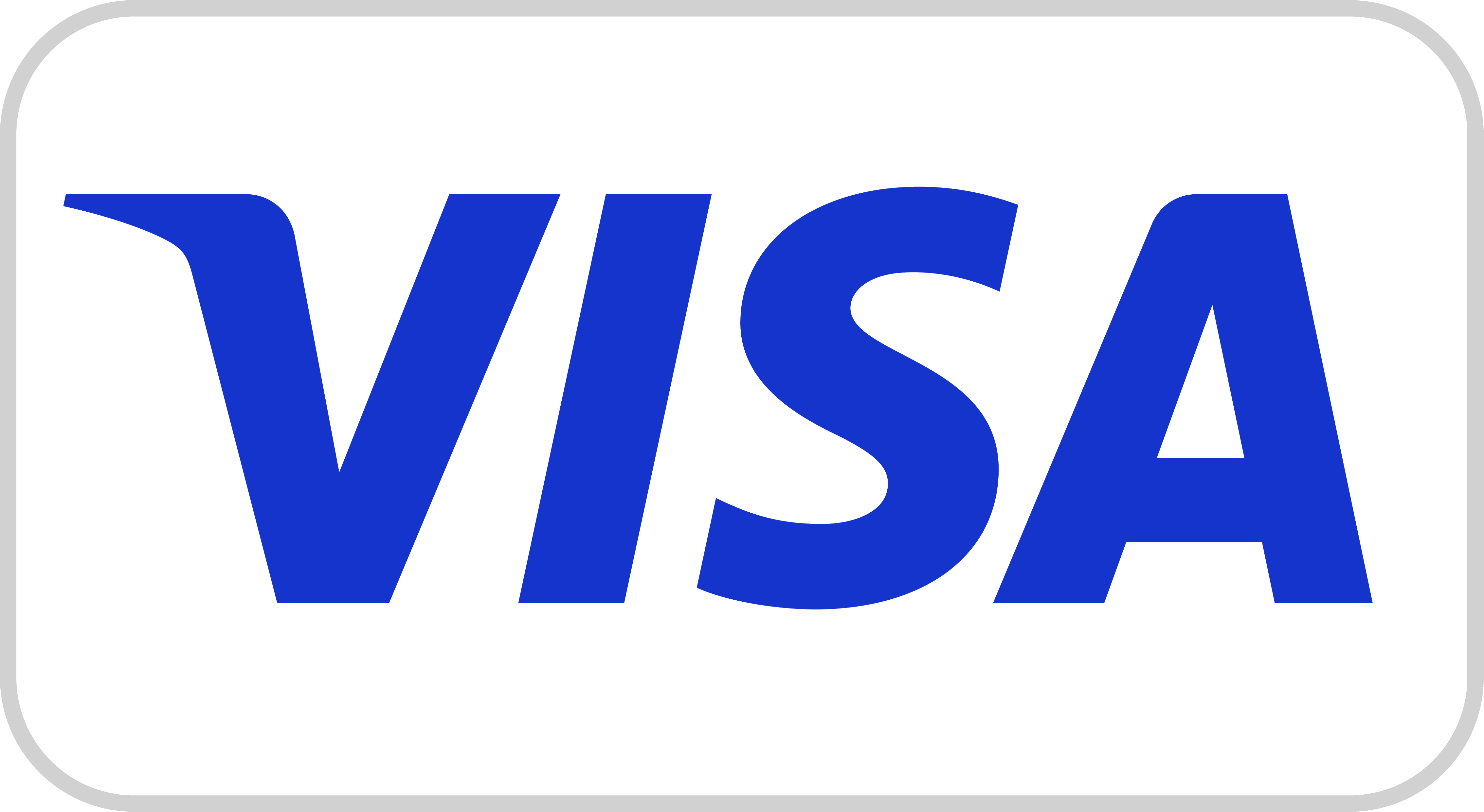 Visa Card Logo